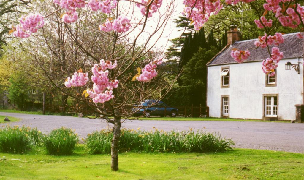 Inverawe Cottages Taynuilt Camera foto