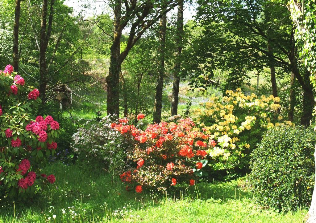 Inverawe Cottages Taynuilt Esterno foto